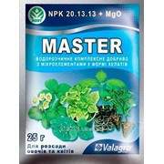 Удобрение Master для рассады цветов и овощей 20.13.13 (Мастер) 25 гр. Valagro