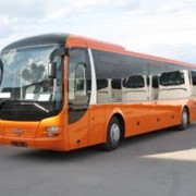 Автобус МAN Lion’s Regio R12