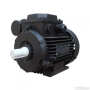 Электродвигатель асинхронный АИР 160S4 (15кВт/1500об.мин.) фотография