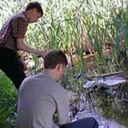 Экологический мониторинг фото