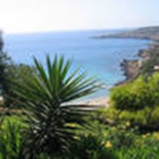 Отдых на Кипре фотография