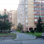 Квартира в Царском селе фото