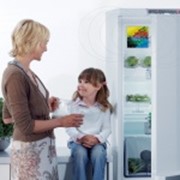 Стикер для холодильника Frigo Plus фото