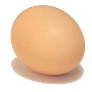 Яйцо отборное