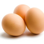 Яйца куриные в Астане фото