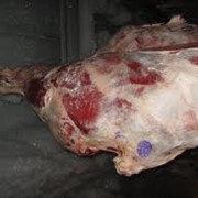 Мясо быка глубокой заморозки фото