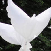 Небесные фонарики Белые голуби Био, Корпоративные подарки, Украина, Киев, Донецк, Одесса