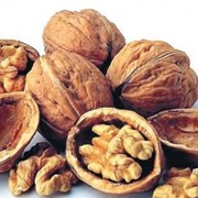 Орехи грецкие, экспорт грецкого ореха фото