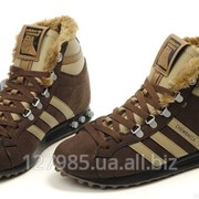 Кроссовки Adidas Chewbacca (зимние) фото