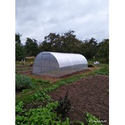 Теплицы Агро, Титан , Престиж, Сибирская .Размер 3х4м, 3х6м, 3х8м из трубы 40х20 или 20х20. Полный комплает , Качественный поликарбонат . Доставка арт 1910-14-1 фото