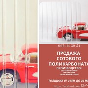 Полкарбонат стльниковий 6мм OSCAR Сербя фото