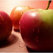Свежие фрукты -яблоки фото