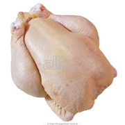 Мясо курицы фото