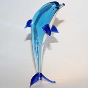 Дельфин1 фото