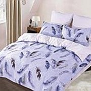 Комплект постельного белья ПМ: Текстильпром КПБ Butterfly Поплин 9020 фото