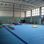 Спорткомплекс Авангард предоставляет в почасовую аренду гимнастический зал.