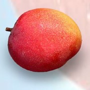 ХЕЙДЕН HADEN манго, импортная продукция ОПТОМ
