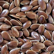 Посевной материал семян: льна масличного сорт ЧИБИС ЭЛИТА фотография