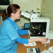 Лабораторные ветеринарные исследования: биохимический , клинический анализ крови г.Киев фото