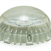 Светодиодный светильник СВБО-01-14-004-СДМ-4-20 с акустическим выключателем фото