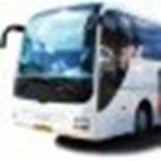 Ежедневные рейсы Ставрополь-Геленджик