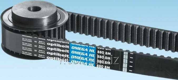 Зубчатый ремень ZR 300 L 100 Optibelt в Новосибирске (Ремни зубчатые ...