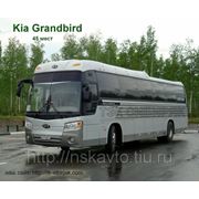 Заказ, аренда автобуса KIA.Granbird 45мест фото