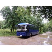 Пассажирские перевозки, аренда автобуса на свадьбу в Калуге фотография