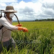 Апстейдж 36% к.с., 5 л фото