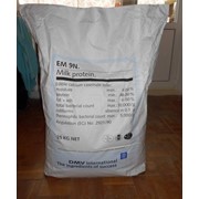 Казеин молочный протеин ЕМ 9N Голландия (Белки – 93%), мешок 25 кг. Также по 1 кг фото