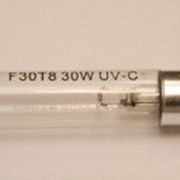 Лампа газоразрядная УФ-излучения F30T8 UVC 30W G13
