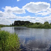 Участок 40 Га у берега озера Закарасенье в Новгородской области фото