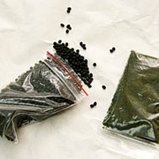 Табачная пыль фасованная по 1 и 1,5 кг