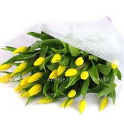 Букет желтых тюльпанов, 25 шт. фото