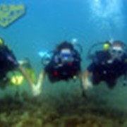 Погружения для начинающих фото