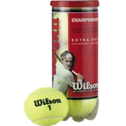 Теннисные мячи Wilson Championship фото