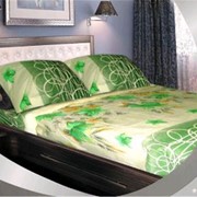 Постельное белье Ранфорс (Polyester / Cotton) Цветочки-кружочки на зеленом Полуторный, Двойной, Евро, Семья фото