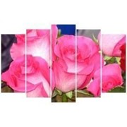 Пятипанельная модульная картина 80 х 140 см Розовые розы фотография