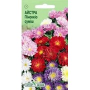 Семена Астры Пиноккио смесь фото