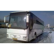 Аренда автобуса MAN фото