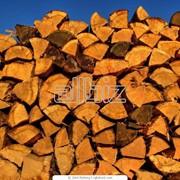 Продам дрова дуб береза ольха киев и область