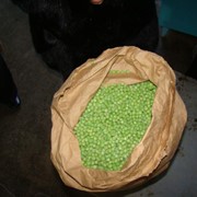 Замороженный овощной зеленый горох фото