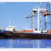 Экспедирование грузов в черноморских портах Украины фото