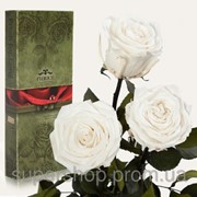 Три долгосвежие розы Белый Бриллиант в подарочной упаковке 228-1841233