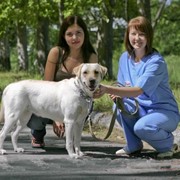 Консультации ветеринарные в Павлодаре фото