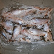 Рыба свежемороженая, Плотва 36-40яч мороженая/охлажденная