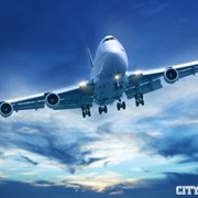 Сверхсрочная международная перевозка фото