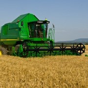 Уборка урожая зерновыми комбайнами немецкого производства DEUTZ-FAHR TopLiner, кукурузными жатками Geringoff. фото