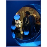 Дизайн аквариумов фото