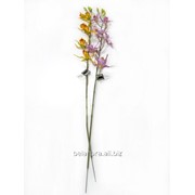 Цветок искусственный “Орхидея узкоцветковая“ К50013 фото